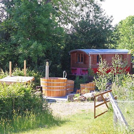 Maison Isolee Avec Spa Nordique, Piscine Et Jardin Privatif Au Coeur De La Nature - Fr-1-497-116 Villa La Lande-de-Goult ภายนอก รูปภาพ